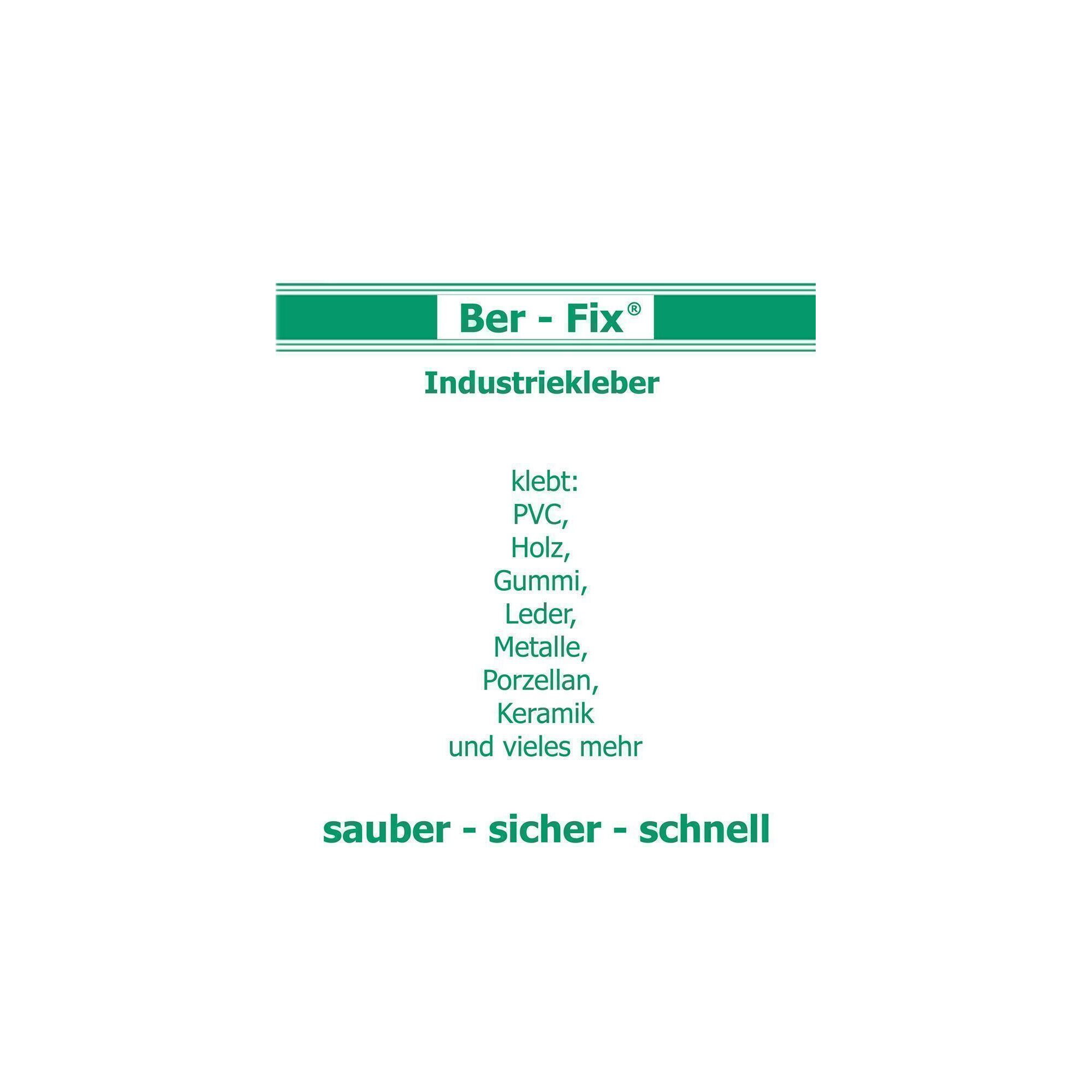 Ber-Fix® Industriekleber 5 g im Röhrchen – Varianten 1 bis 16 Stück