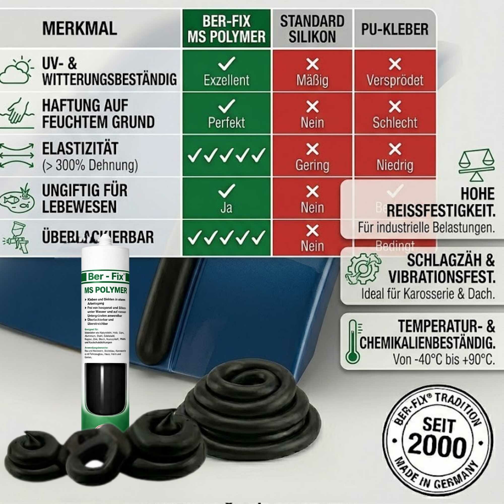 Ber-Fix® MS-Polymer Schwarz 10x 290 ml + 400 ml Reiniger – Caravan-Werkstattset
