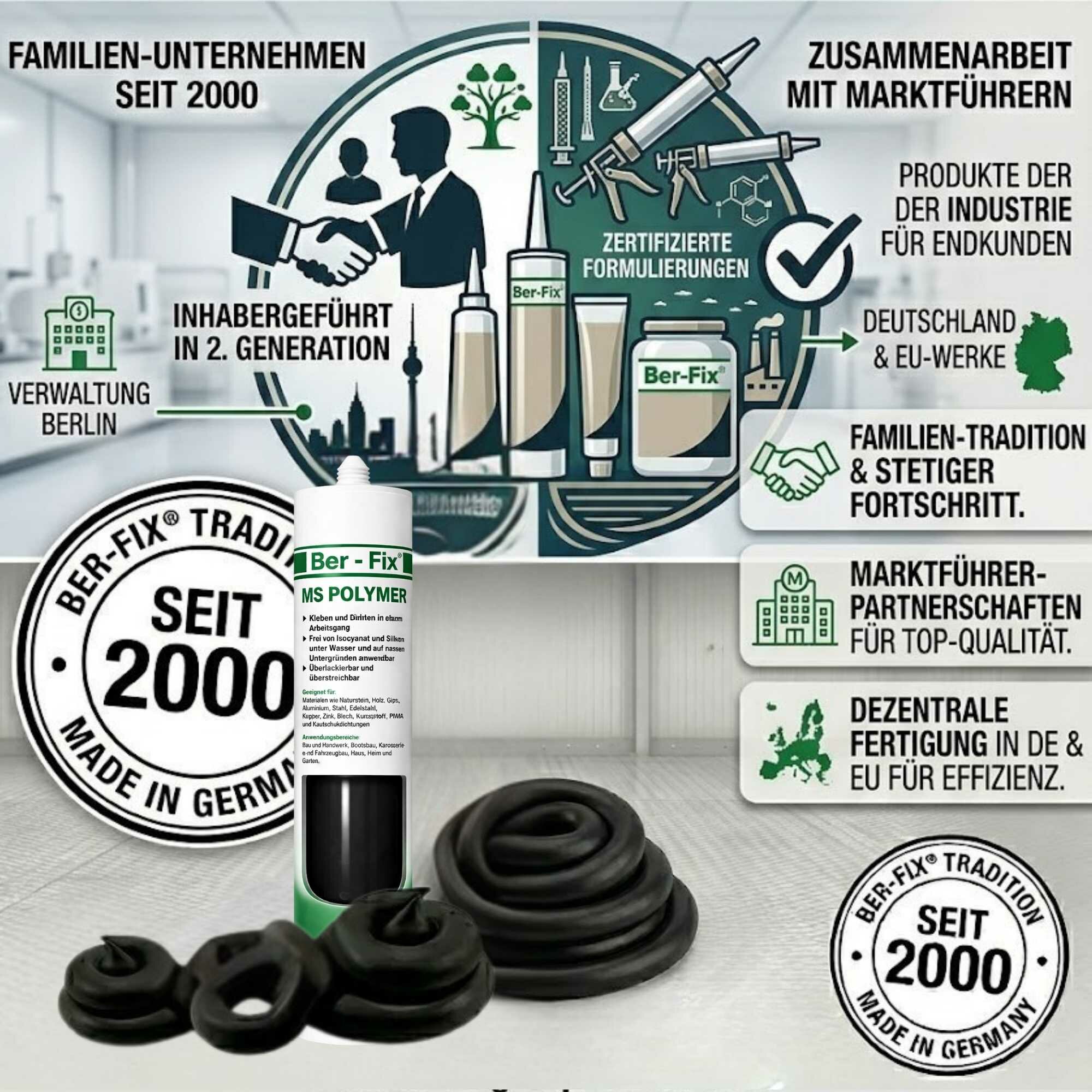 Ber-Fix® MS-Polymer Schwarz 10x 290 ml + 400 ml Reiniger – Caravan-Werkstattset